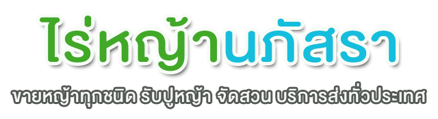 ขายหญ้าทุกชนิด รับปูสนามหญ้า รับจัดสวน รับจัดสวนหิน ขายต้นไม้ดอก ไม้ประดับ ไม้มงคล ไม้ทำรั้ว พร้อมบริการขนส่งพร้อมปลูก | ไร่หญ้านภัสรา